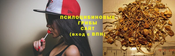 герыч Ладушкин