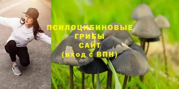 бошки Лагань